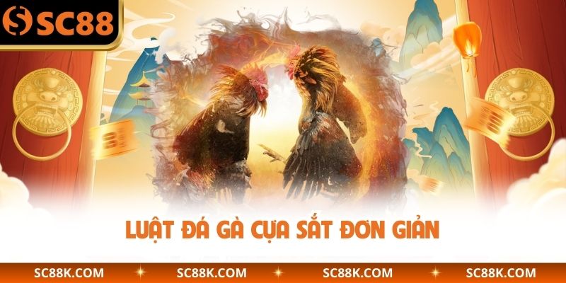 Luật đá gà cựa sắt đơn giản